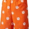 Hot Sale 🔥 Columbia Men's Clemson Tigers Orange Backcast II Printed Performance Shorts 🥰